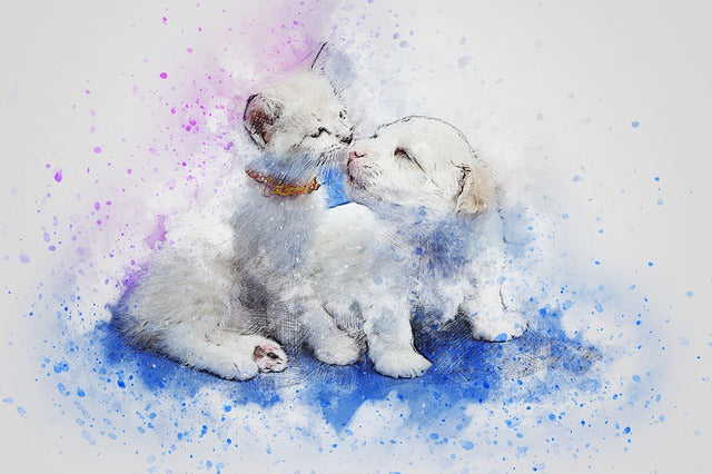 Are Candles Safe for Cats and Dogs?